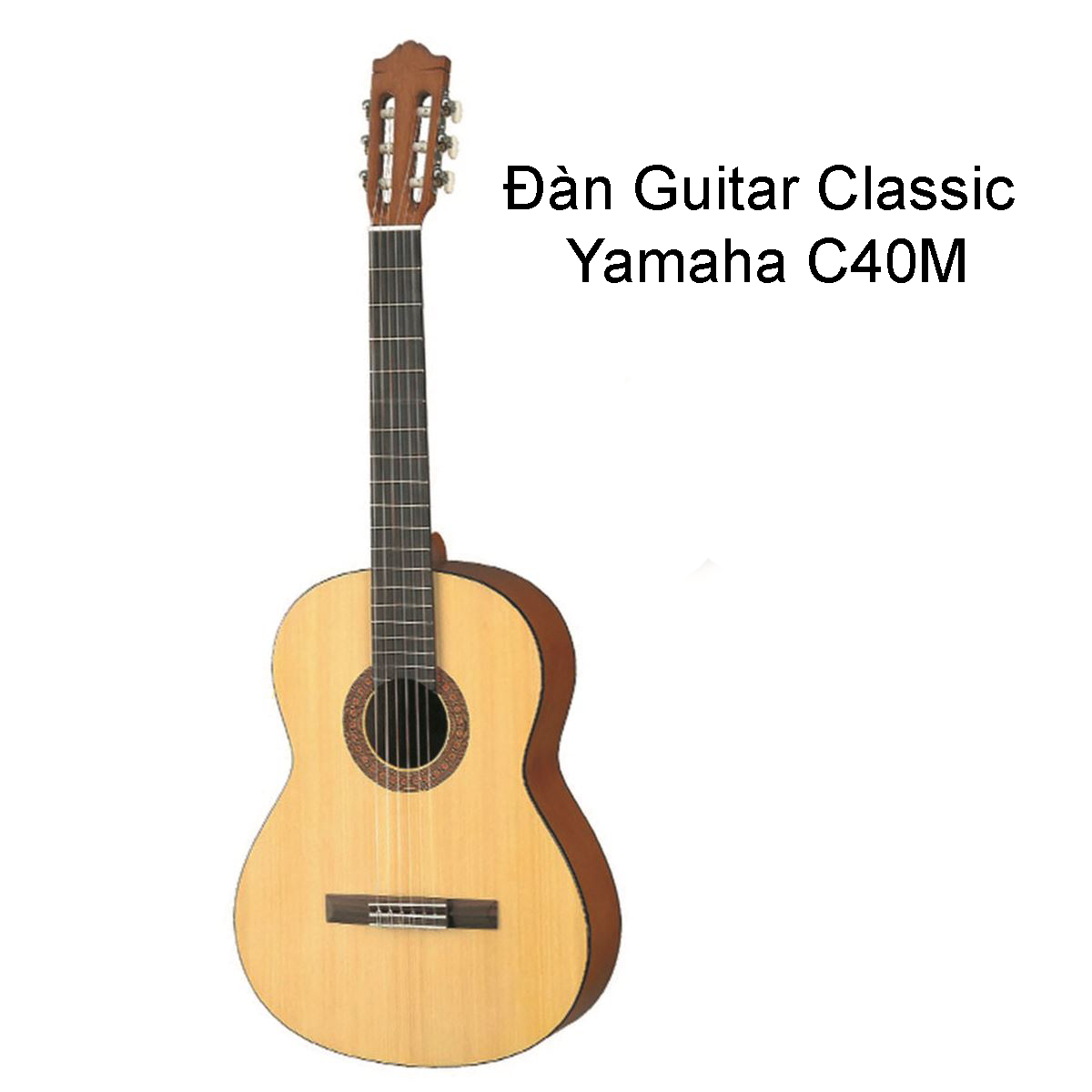 Đàn Guitar Classic Yamaha C40M