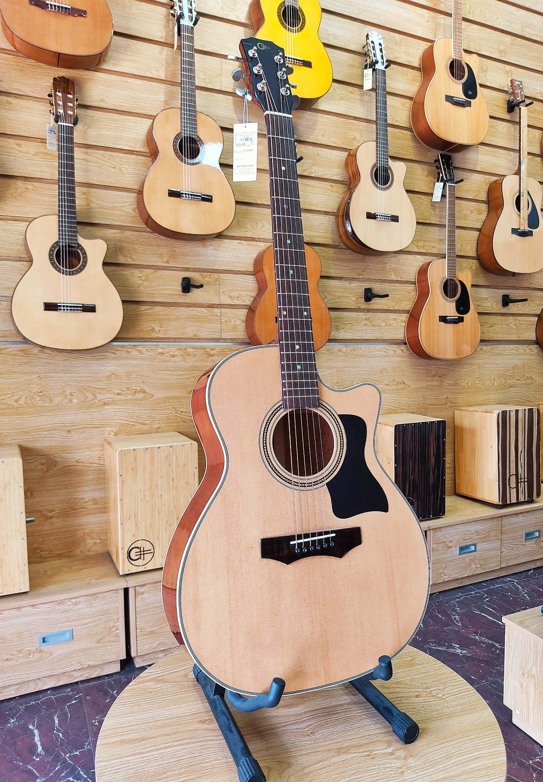 Đàn guitar Acoustic C#10A - 2022 Đàn guitar Acoustic C#10A - 2022