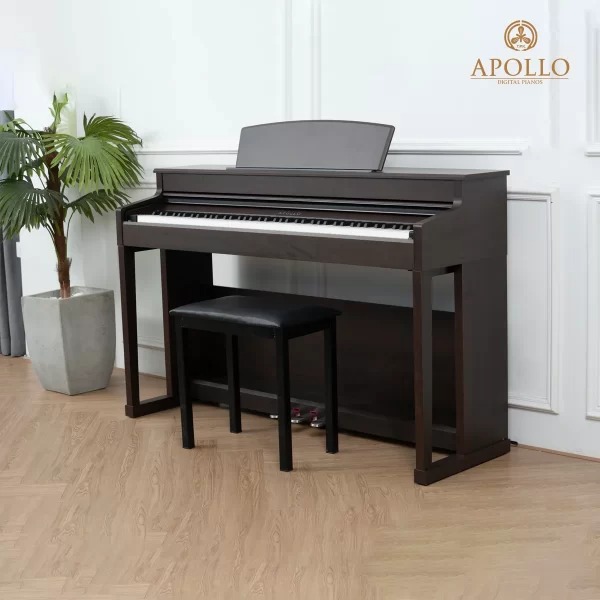 Đàn Piano Điện Apollo DP-260 Đàn Piano Điện Apollo DP-260